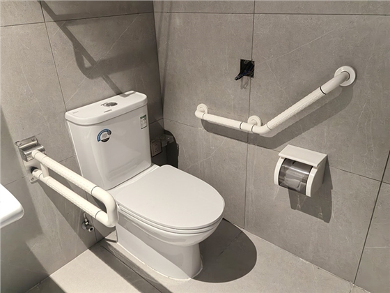 养老院卫浴扶手